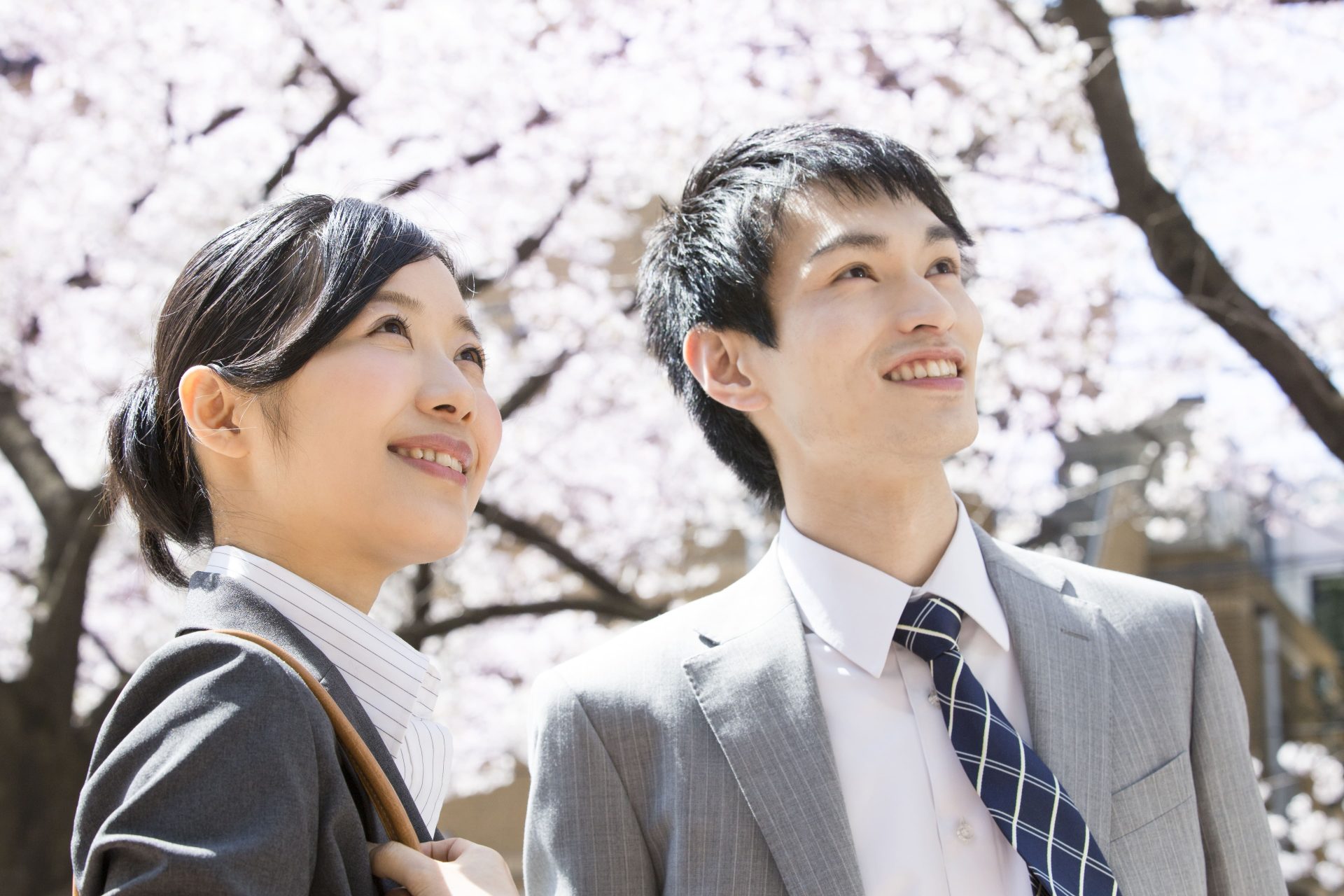 社会人になりたくない!…私、どうしたらいいの?