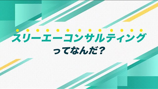 インタツアーダイジェスト-株式会社スリーエーコンサルティング【企業動画】