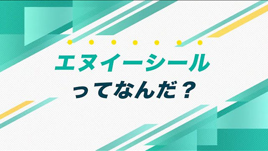 インタツアー ダイジェスト-エヌイーシール株式会社 【企業動画】