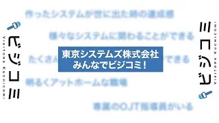 笑い声溢れる明るくアットホームな社風―東京システムズ【動画ビジコミ】